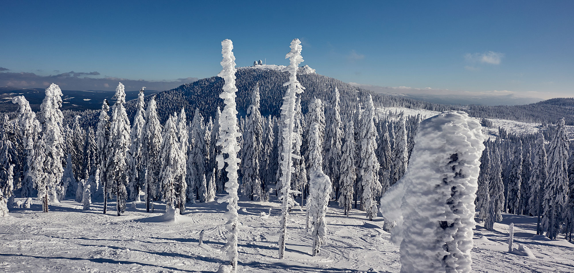 Skifahren im Bayerischen Wald © Woidlife